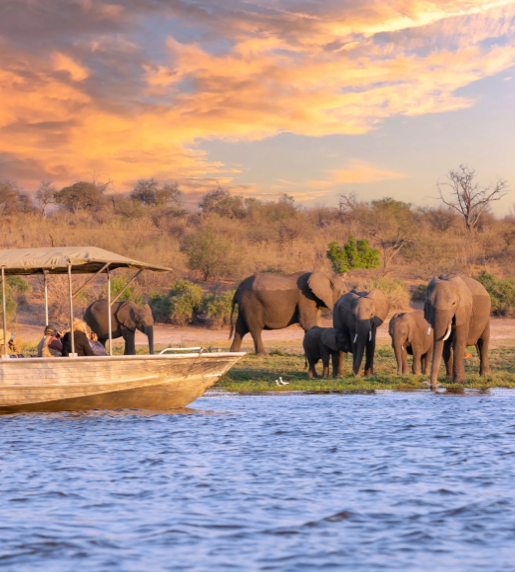 SLYNUMBER eSIM activated on a smartphone in Botswana