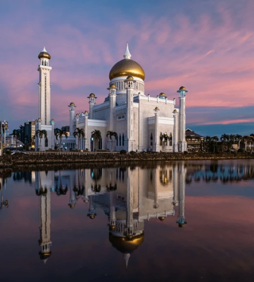 SLYNUMBER eSIM activated on a smartphone in Brunei