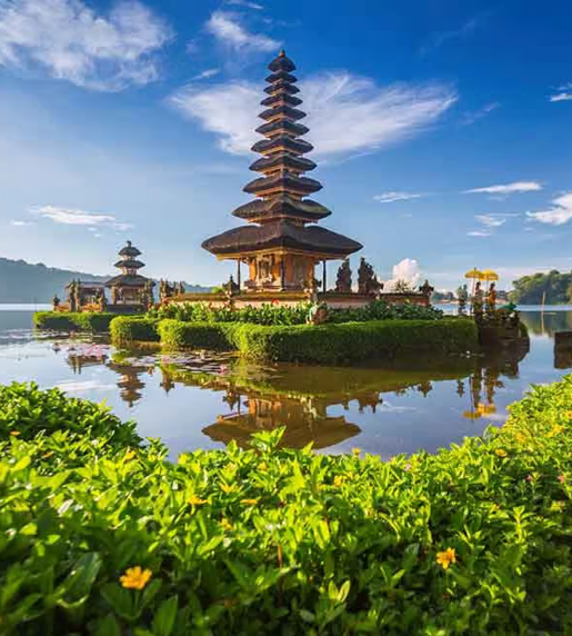SLYNUMBER eSIM activated on a smartphone in Indonesia