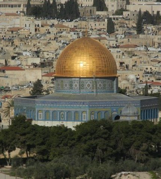 SLYNUMBER eSIM activated on a smartphone in Palestine