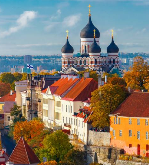 SLYNUMBER eSIM activated on a smartphone in Estonia