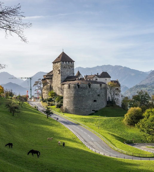 SLYNUMBER eSIM activated on a smartphone in Liechtenstein